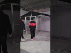 Canil de aço para cães