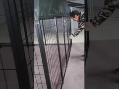 6ft de altura Soldado Aço Cão Kennel em pó revestido Cão Run House