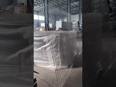 Cercas de aço galvanizadas de 3 mm de visão clara Cercas de segurança de prisão anti-escalada