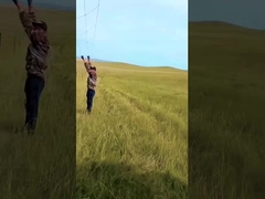 Painel de vedação galvanizado por imersão quente de gado de 8 pés de altura fixa de nós Cervo de rede de arame farpado