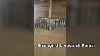 Cerca forte de gado para cavalos de gado