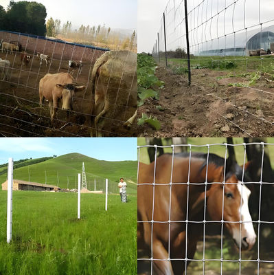 Galvanized Cattle Fence 4'x328' Metal Frame for Animal Farm Fencing