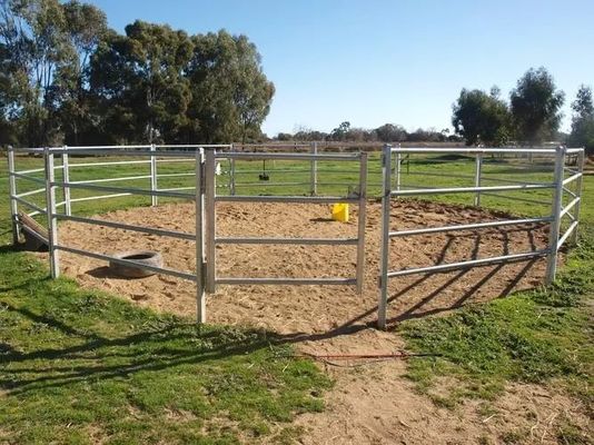 Painel de vedação de gado de tubos galvanizados soldados 8FT Painéis de vedação de fazendas de cavalos