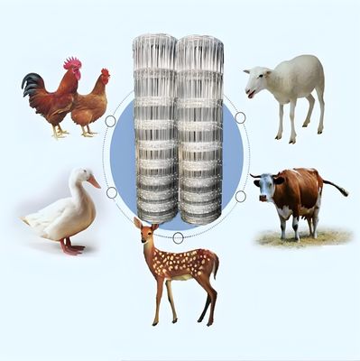 Cerca de gado para fazenda com arame galvanizado de alta resistência de 2,0MM para hortaliças, tratamento de superfície para rede de jardim