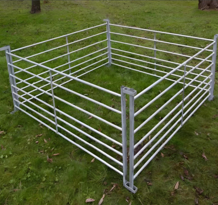 Painel de cerca portátil para gado de fazenda com tubo galvanizado de 10 pés